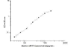 Typical standard curve (UPP2 ELISA 试剂盒)