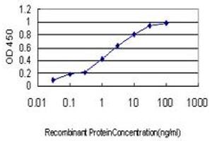 Detection limit for recombinant GST tagged MPHOSPH6 is approximately 0. (MPHOSPH6 抗体  (AA 1-160))