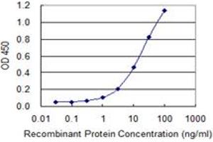 Detection limit for recombinant GST tagged USO1 is 0. (USO1 抗体  (AA 1-961))