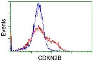 Image no. 4 for anti-Cyclin-Dependent Kinase Inhibitor 2B (p15, Inhibits CDK4) (CDKN2B) antibody (ABIN1497445) (CDKN2B 抗体)