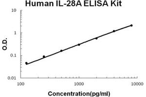 Human IL-28A PicoKine ELISA Kit standard curve (IL28A ELISA 试剂盒)