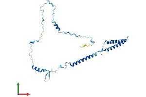 Protein Structure (PS) image for Enkurin, TRPC Channel Interacting Protein (ENKUR) (AA 1-255) protein (His tag) (ABIN7558106)