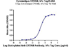 ELISA image for Cytotoxic and Regulatory T Cell Molecule (CRTAM) (AA 18-287) protein (Fc Tag) (ABIN7274414)