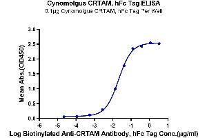 Immobilized Cynomolgus CRTAM, hFc Tag at 1 μg/mL (100 μL/well) on the plate. (CRTAM Protein (AA 18-287) (Fc Tag))
