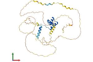 Protein Structure (PS) image for ALX Homeobox 4 (ALX4) (AA 1-411) protein (His tag) (ABIN7552085)