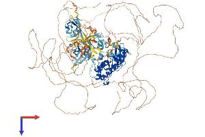PASK Protein (AA 1-1383) (His tag)