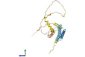AlphaFold protein structure predicition of Human Recombinant CCDC28A Protein, UniprotID Q8IWP9