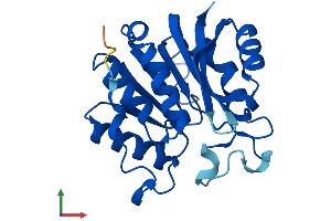 Protein Structure (PS) image for N-6 Adenine-Specific DNA Methyltransferase 1 (Putative) (N6AMT1) (AA 1-214) protein (His tag) (ABIN7548232)