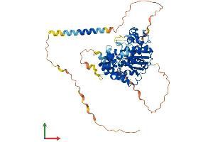 Protein Structure (PS) image for Carbohydrate (N-Acetylglucosamine-6-O) Sulfotransferase 2 (CHST2) (AA 1-530) protein (His tag) (ABIN7564284)