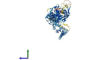 Protein Structure (PS) image for Signal Transducer and Activator of Transcription 4 (STAT4) (AA 1-749) protein (His tag) (ABIN7563241)