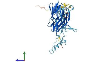 AlphaFold protein structure predicition of Mouse Recombinant Trappc13 Protein, UniprotID Q3TIR1