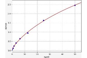 Typical standard curve (CLEC3B ELISA 试剂盒)