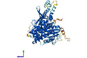 Protein Structure (PS) image for Syntaxin Binding Protein 3 (STXBP3) (AA 1-592) protein (His tag) (ABIN7557607)