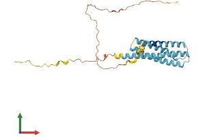 AlphaFold protein structure predicition of Mouse Recombinant Ms4a15 Protein, UniprotID Q3UPL6