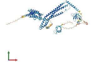 Protein Structure (PS) image for rho Guanine Nucleotide Exchange Factor (GEF) 37 (ARHGEF37) (AA 1-676) protein (His tag) (ABIN7561855)