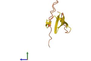 AlphaFold protein structure predicition of Human Recombinant OCR1 Protein, UniprotID Q9BZK8
