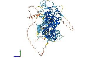 Protein Structure (PS) image for DAG Kinase gamma (AA 1-791) protein (His tag) (ABIN7547024)