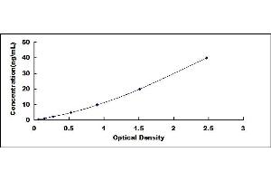 Typical standard curve (DPP4 ELISA 试剂盒)
