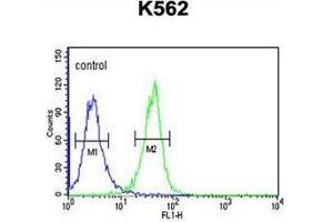 Flow Cytometry (FACS) image for anti-DnaJ (Hsp40) Homolog, Subfamily C, Member 6 (DNAJC6) (AA 260-290), (Middle Region) antibody (ABIN951950)