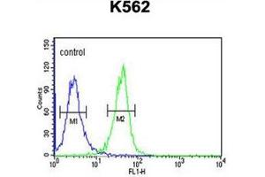 Flow cytometric analysis of K562 cells using DNAJC6 Antibody  (right histogram) compared to a negative control cell (left histogram). (DNAJC6 抗体  (Middle Region))
