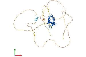 AlphaFold protein structure predicition of Mouse Recombinant Foxq1 Protein, UniprotID O70220