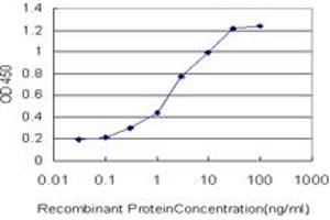 Detection limit for recombinant GST tagged CENPJ is approximately 0. (CENPJ 抗体  (AA 979-1088))