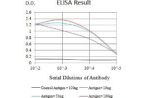 Black line: Control Antigen (100 ng),Purple line: Antigen (10 ng), Blue line: Antigen (50 ng), Red line:Antigen (100 ng) (LRP6 抗体  (AA 1198-1370))