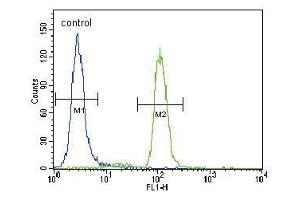 PIK3CA Antibody (C-term) (ABIN1882113 and ABIN2842103) flow cytometric analysis of Hela cells (right histogram) compared to a negative control cell (left histogram). (PIK3CA 抗体  (C-Term))