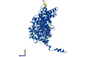 AlphaFold protein structure predicition of Mouse Recombinant Acox1 Protein, UniprotID Q9R0H0