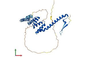 Protein Structure (PS) image for Tetratricopeptide Repeat Domain 1 (TTC1) (AA 1-292) protein (His tag) (ABIN7560128)