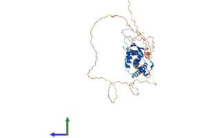 AlphaFold protein structure predicition of Mouse Recombinant Tfap2d Protein, UniprotID Q91ZK0