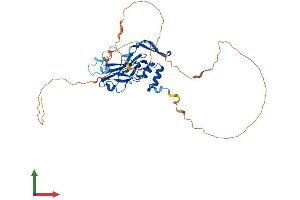 Protein Structure (PS) image for T-Box 10 (TBX10) (AA 1-385) protein (His tag) (ABIN7558469)