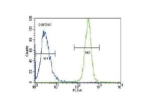 Flow cytometric analysis of Hela cells (right histogram) compared to a negative control cell (left histogram). (LYN 抗体  (N-Term))