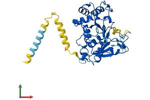 Protein Structure (PS) image for ST3 beta-Galactoside alpha-2,3-Sialyltransferase 1 (ST3GAL1) (AA 1-337) protein (His tag) (ABIN7556169)