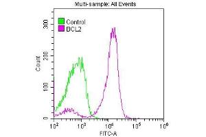 Overlay histogram showing Jurkat cells stained with ABIN7127273 (red line) at 1:50. (Recombinant Bcl-2 抗体)