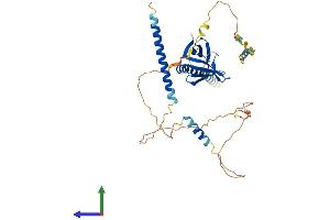 Protein Structure (PS) image for Ena-Vasodilator Stimulated Phosphoprotein (EVL) (AA 1-416) protein (His tag) (ABIN7547432)