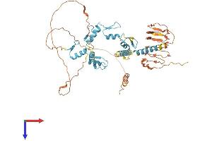 VEZF1 Protein (AA 1-521) (His tag)