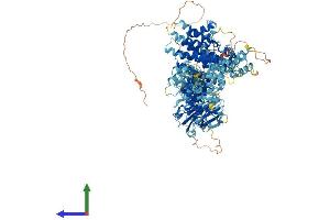 Protein Structure (PS) image for Nucleoporin 133kDa (NUP133) (AA 1-1155) protein (His tag) (ABIN7564684)