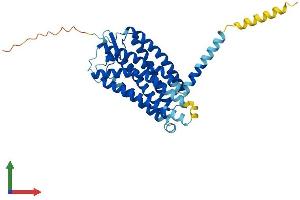 AlphaFold protein structure predicition of Human Recombinant GPR183 Protein, UniprotID P32249