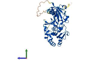 AlphaFold protein structure predicition of Human Recombinant FUT6 Protein, UniprotID P51993