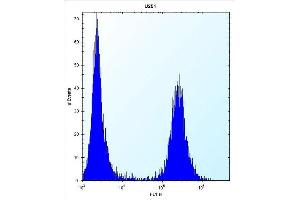 FLNA Antibody  (ABIN392193 and ABIN2841898) flow cytometric analysis of  cells (right histogram) compared to a negative control cell (left histogram). (Filamin A 抗体  (AA 1025-1054))