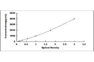 Typical standard curve (Cathepsin L ELISA 试剂盒)