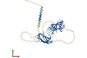 Protein Structure (PS) image for Synaptotagmin XI (SYT11) (AA 1-430) protein (His tag) (ABIN7556191)