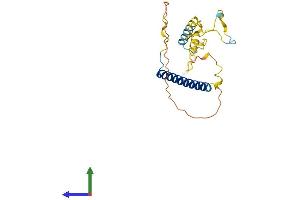AlphaFold protein structure predicition of Human Recombinant MBD3L4 Protein, UniprotID A6NDZ8