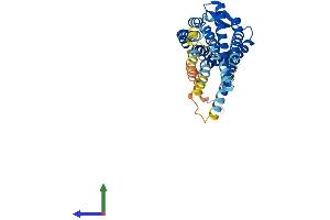 Protein Structure (PS) image for Bradykinin Receptor B1 (BDKRB1) (AA 1-334) protein (His tag) (ABIN7557668)
