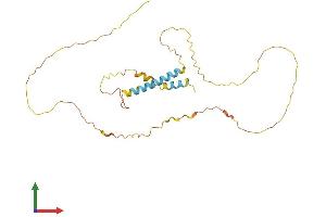 Protein Structure (PS) image for MyoD Family Inhibitor Domain Containing (MDFIC) (AA 1-247) protein (His tag) (ABIN7558989)