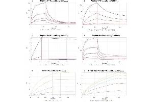 Bio-Layer Interferometry (BLI) image for anti-SARS-CoV-2 Spike S1 (RBD) antibody (ABIN6952546)