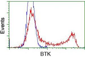 Image no. 5 for anti-Bruton Agammaglobulinemia tyrosine Kinase (BTK) antibody (ABIN1496972) (BTK 抗体)