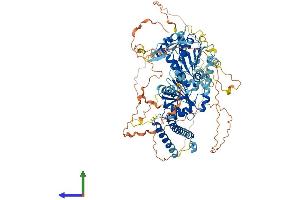 AlphaFold protein structure predicition of Mouse Recombinant Ddx24 Protein, UniprotID Q9ESV0