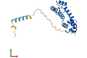 AlphaFold protein structure predicition of Mouse Recombinant Rgs5 Protein, UniprotID O08850